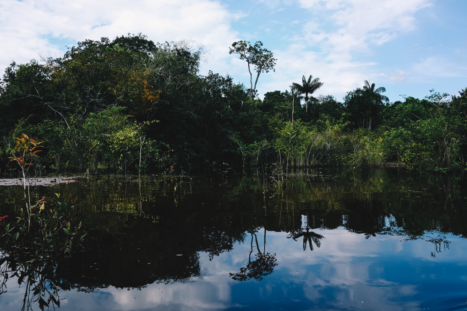 Manaus