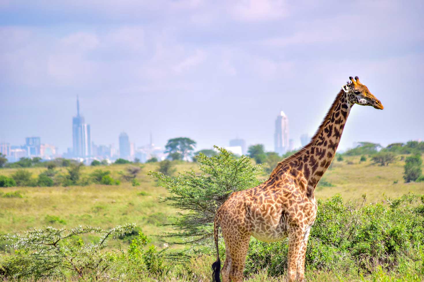 Nairobi